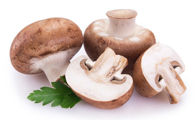 Fototapeta na wymiar Fresh mushrooms on white background