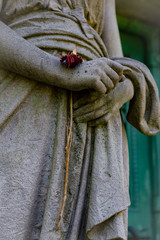 Stone statue hands holding wilting rose