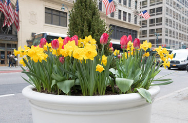 Vase of flowers on the sidewalk of 5th Avenue streets in Manhattan, New York. USA flag.