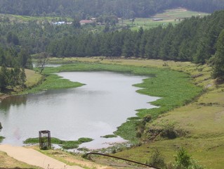 Pykara lake, Ooty hill station, Tamil Nadu, India