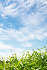 The image of the natural beauty that God created With both hardness, gentle, natural balance