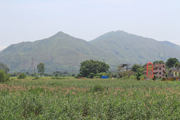 nam sang wai yuen long 27 April 2014