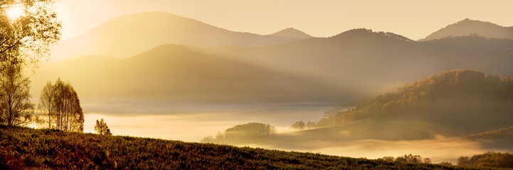 Sunrise in the Altai Mountains, forest and mountains, fog in the valley - obrazy, fototapety, plakaty