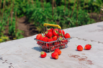 Mini shopping basket full of fresh red ripe strawberry on vintage background