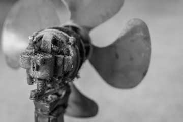 Old and dirty fan motors