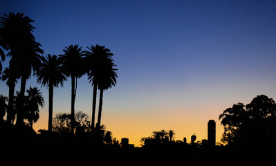 atardecer en la ciudad