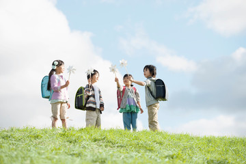 草原で風車を持つ小学生