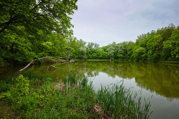 Forest Lake, in spring. Pond.