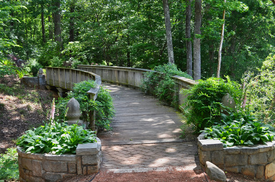 Georgia State Botanical Garden Bridge to the Forest
