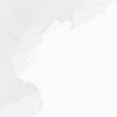 Fototapeta premium Abstract grey and white background. Modern design for business and technology.
