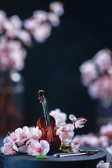 Tiny violin with pink cherry blossom on a dark background with copy space. Spring music concept.