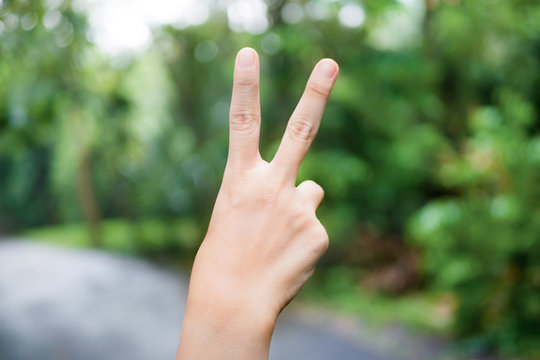 Hand with two fingers up in the peace or sign for symbol of peace or victory on natural background.