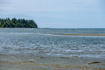 wet sandy beach on low tide with green forest over the horizon on a cloudy day