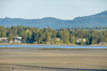vast sandy beach on a sunny day with forest covered buildings and mountain range in the background