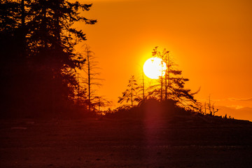 sun setting behind silhouette of forest on the orange sky.