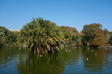 Fototapeta na wymiar Ciutadella park - a park on the northeastern edge of Ciutat Vella district of Barcelona, Catalonia, Spain. 