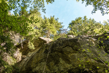 Fototapete bei efototapeten.de bestellen   