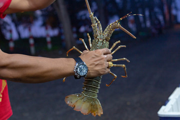 Hummer Fischmarkt Thailand