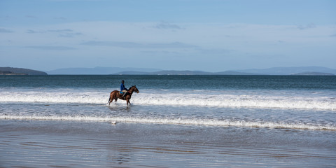 Horse exercising at five mile beach, Tasmania
