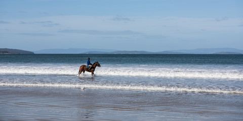 Horse exercising at five mile beach, Tasmania © Stella 