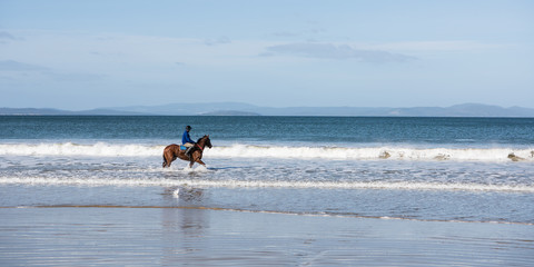 Horse exercising at five mile beach, Tasmania