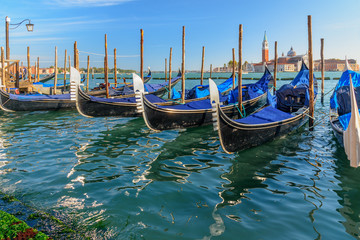 Gondolas moored by Piazza San Marco. Venice. Italy