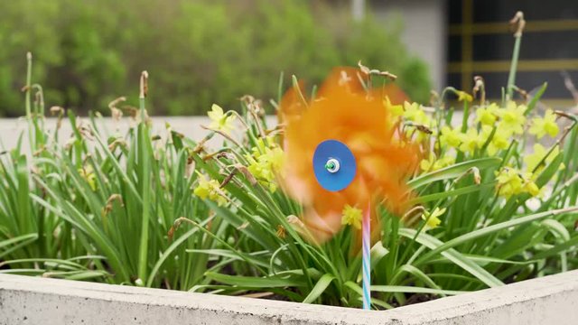 23.967fps 4K footage of  weathervane rolling in wind. Flowers in the backround.