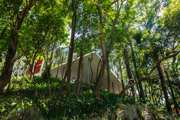 Casa de Vidro - Instituto Lina Bo Bardi - São Paulo