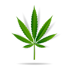 Cannabis marijuana design graphics