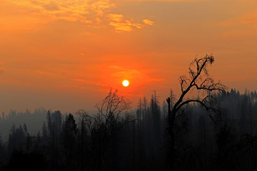 Fototapeta premium Beautiful Yosemite sunset 