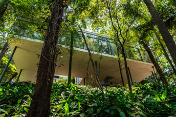 Casa de Vidro - Instituto Lina Bo Bardi - São Paulo