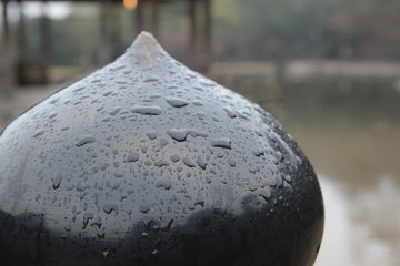 雨に濡れた