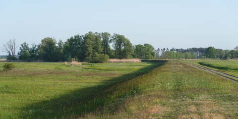 Field path next to dyke and green meadows in the nature park Westhavelland in Brandenburg
