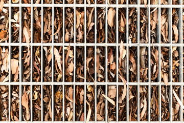 Dried gum leaves clogging storm water drain system.