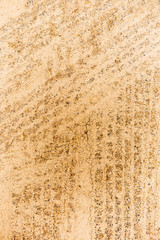 Crossing tyre imprint markings dried in sunlight.