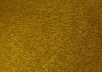  Texture of genuine leather. Green color background.