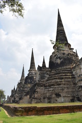 Obraz premium Ayuttahaya kompleks świąntynny Tajlandia, Wat Mahathat, Wat Phra Si Sanphet