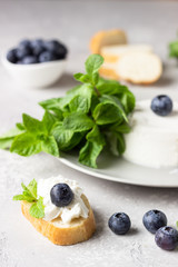 Italian ricotta cheese on grey plate with fresh blueberries and mint on light grey background. Selective focus, copy space. 