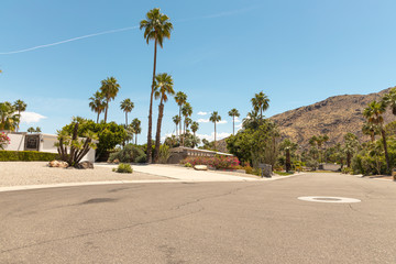 A street of Palm Springs 1