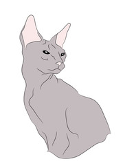 Naklejka premium cat portrait, vector, white background