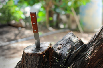 knife with wooden handle, stuck in a piece of trunk