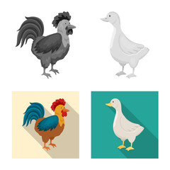 Vector illustration of breeding and kitchen  symbol. Set of breeding and organic  vector icon for stock.