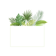 Tropical Rainforest Foliage Border, Poster, Wedding Invitation, Summer Greeting Card Design Element Vector Illustration