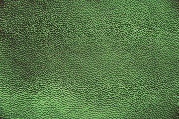  Texture of genuine leather. Green color background.