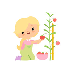 Cute Young Girl in Overalls and Rubber Boots Harvesting Tomatoes in Bowl, Farmer Girl Cartoon Character Working in Garden Vector Illustration