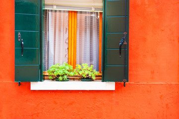 Red wall of the house and window with green shutters. Flower in a pot on the windowsill. Colorful architecture in Burano island, Venice, Italy.