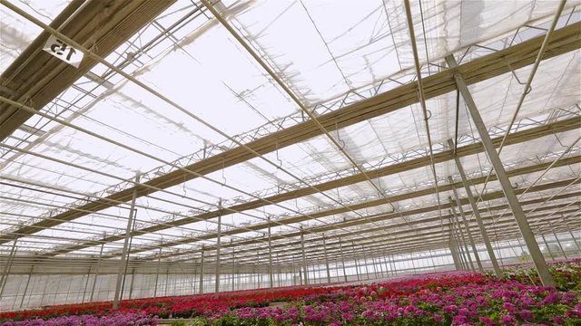 Opening the roof in a large modern greenhouse, the process of opening the roof in a large modern greenhouse