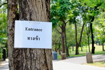 A text of Entrance on white paper board hanging on a tall tree at the city park with green nature background 