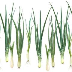 Green onion vector composition