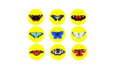 Butterfly Icon Set
